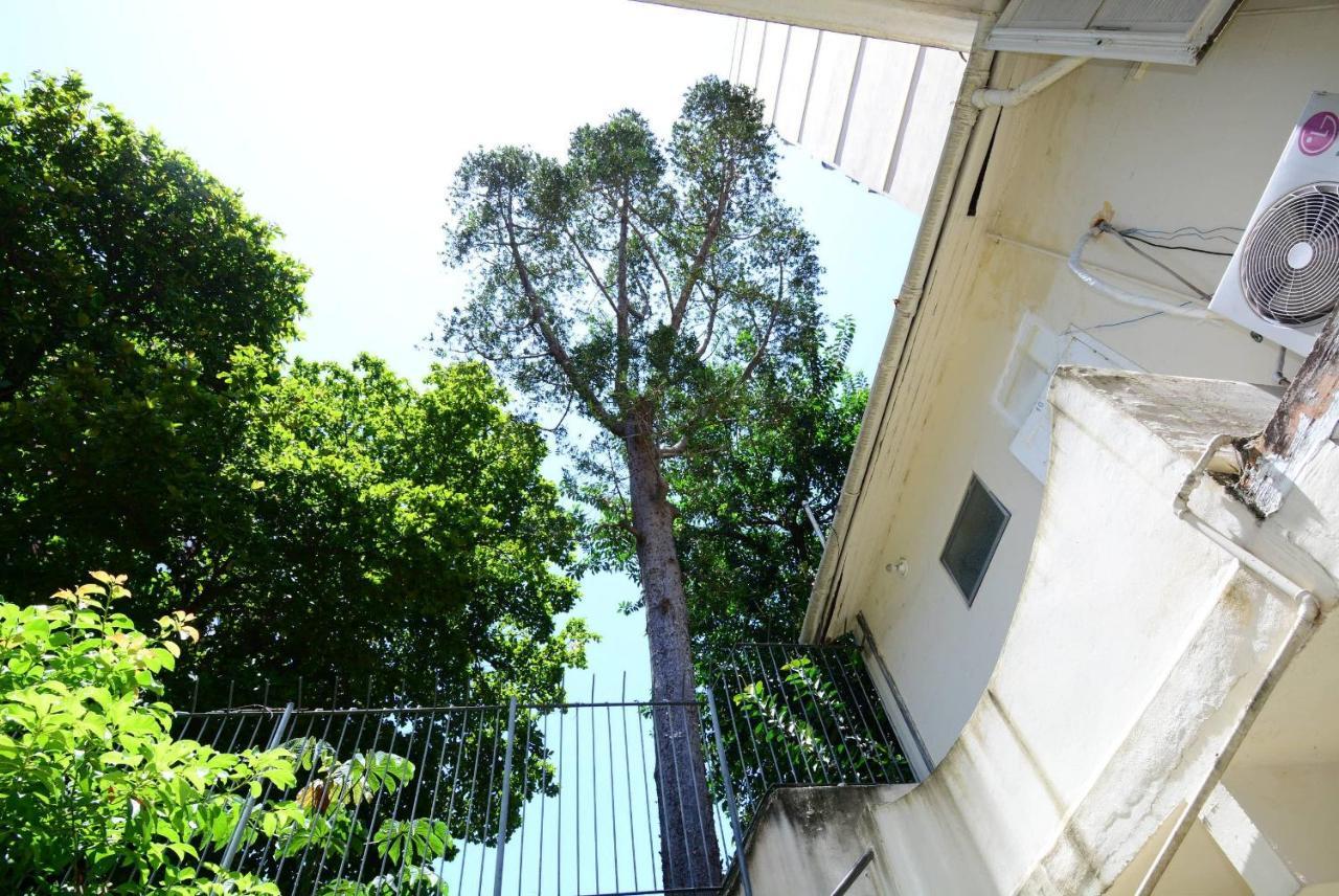Cozy Flamengo - 3 Hospedes, Conforto E Privativo! Rio de Janeiro Exterior foto
